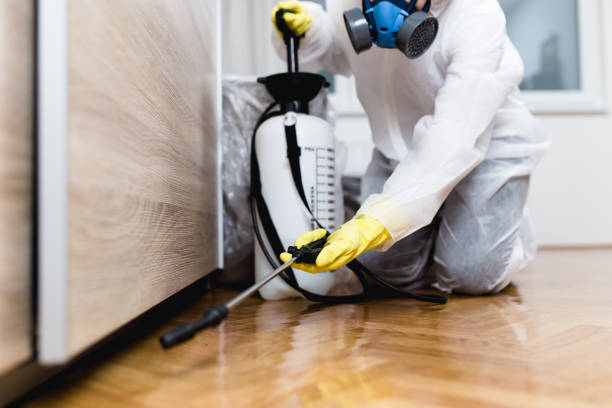 Best Cockroach Control Services  in Hephzibah, GA