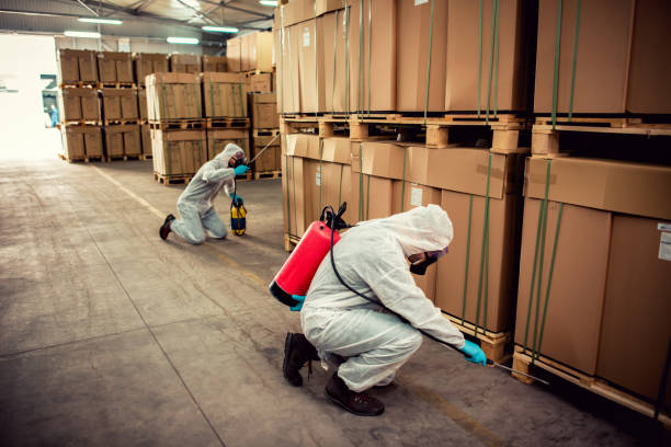 Best Flea Control Services  in Hephzibah, GA