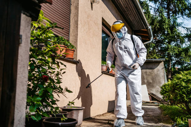 Best Affordable Pest Control Services  in Hephzibah, GA
