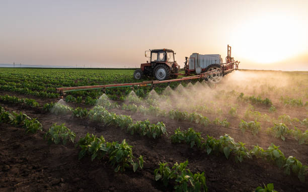 Pest Control Cost in Hephzibah, GA