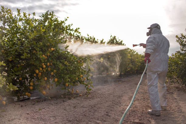 Best Pest Removal Services  in Hephzibah, GA