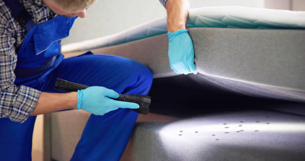 Best Pest Control Near Me  in Hephzibah, GA