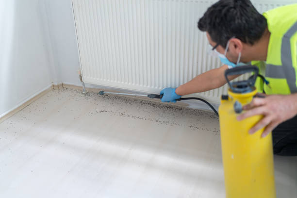 Best Bed Bug Extermination  in Hephzibah, GA
