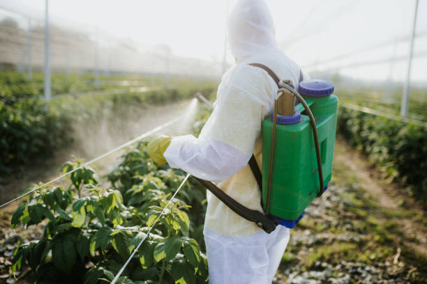 Best Exterminator Services  in Hephzibah, GA